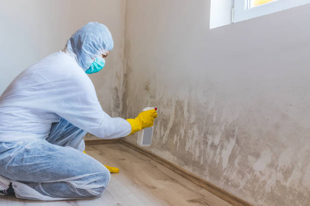 Hvac And Air Duct Mold Remediation inspection of HVAC system in Washington Crossing