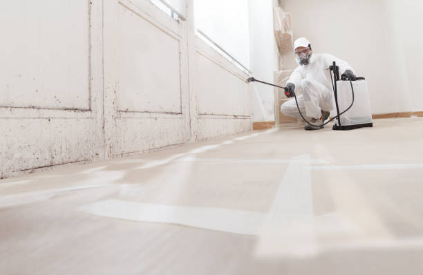 Black mold remediation team in Washington Crossing