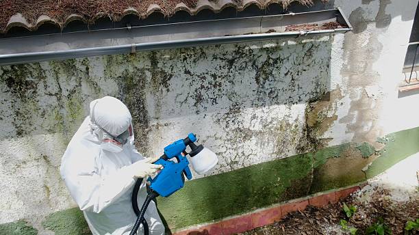 Mold Remediation service in Washington Crossing, Washington Crossing, PA